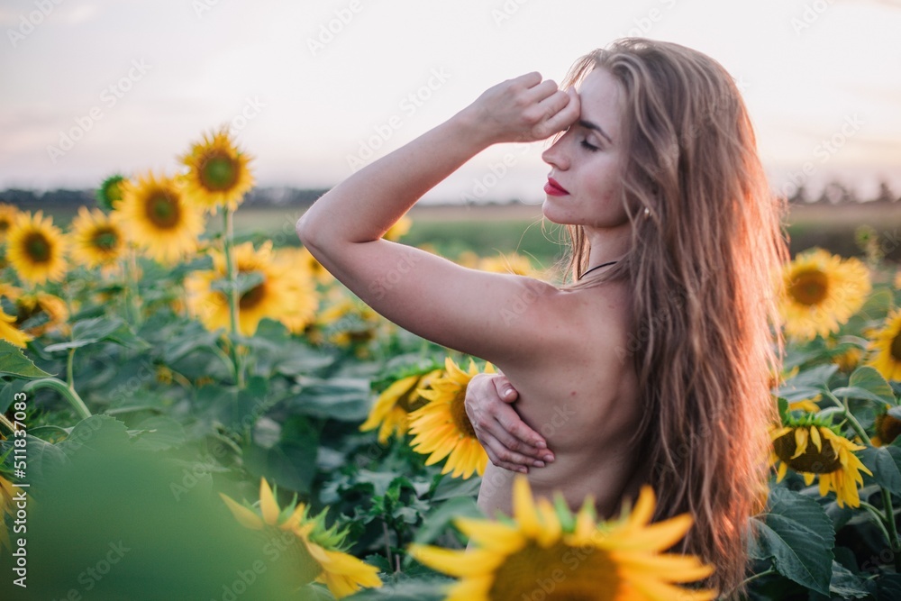 A young, naked, slender girl with loose hair covers her body with sunflowers in a field at sunset A young, naked, slender girl with loose hair covers her body with sunflowers in a field at sunset
