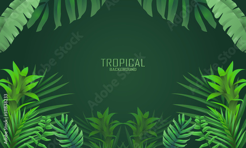 TROPICAL SUMMER BACKGROUND