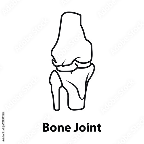 knee bone joint vector. on white background
