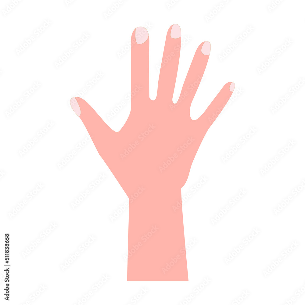 open hand. vector illustration. on white background open hand. vector illustration. on white background