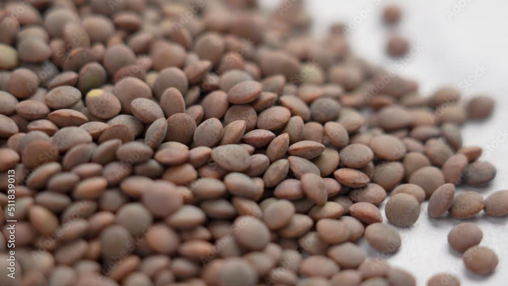 Dry brown lentils on a white. Cooking legumes. Slow rotation. Macro view Dry brown lentils on a white. Cooking legumes. Slow rotation. Macro view