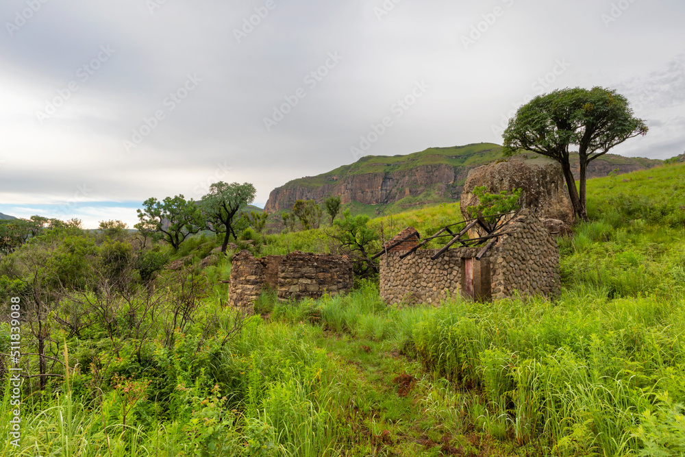 Ruins and cabbage trees in the mountain