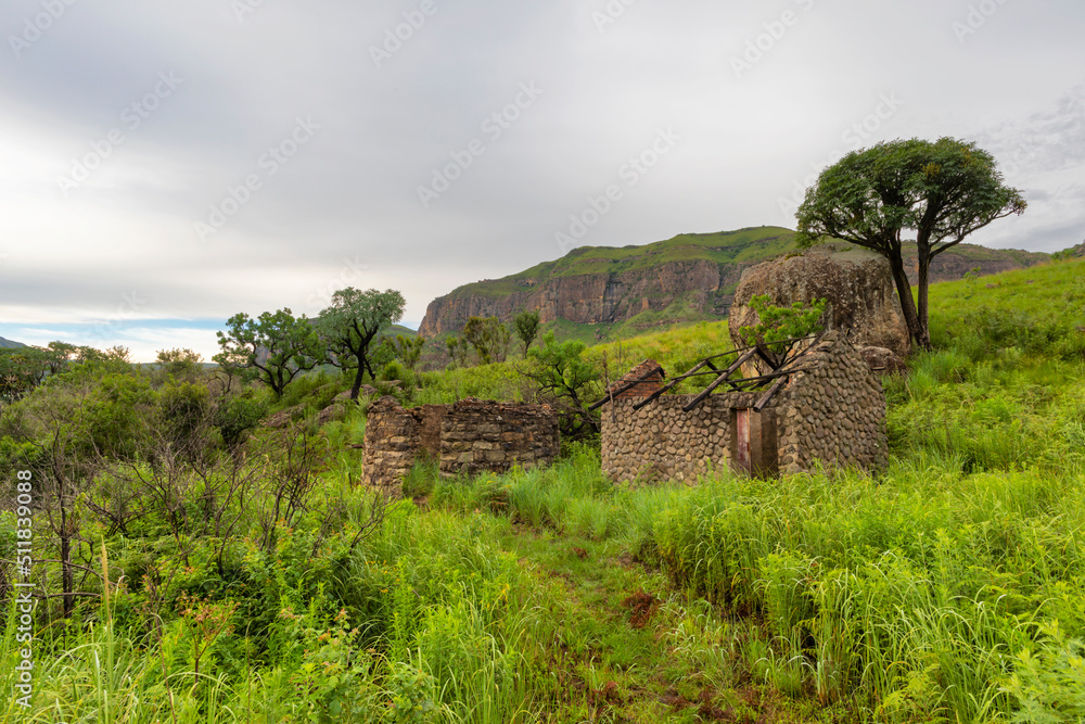 Fototapeta premium Ruins and cabbage trees in the mountain