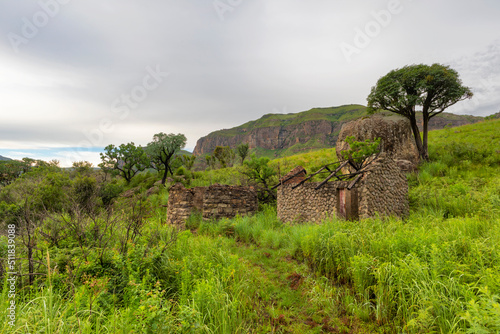 Ruins and cabbage trees in the mountain