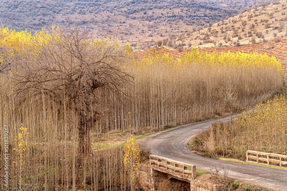 Fototapeta premium Autumn Colors /Savur/Mardin