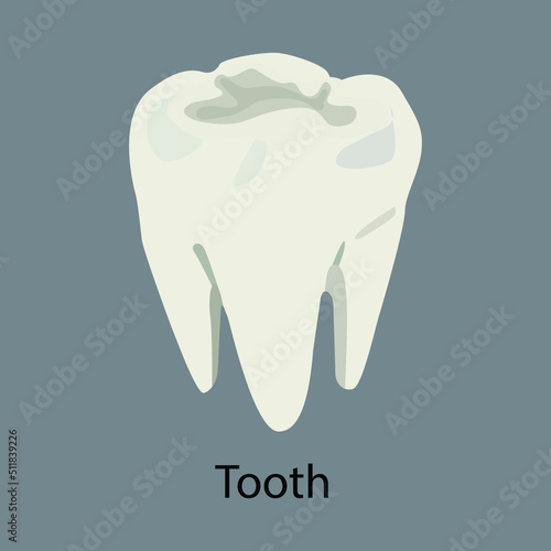 tooth and icons. white tooth on gray background