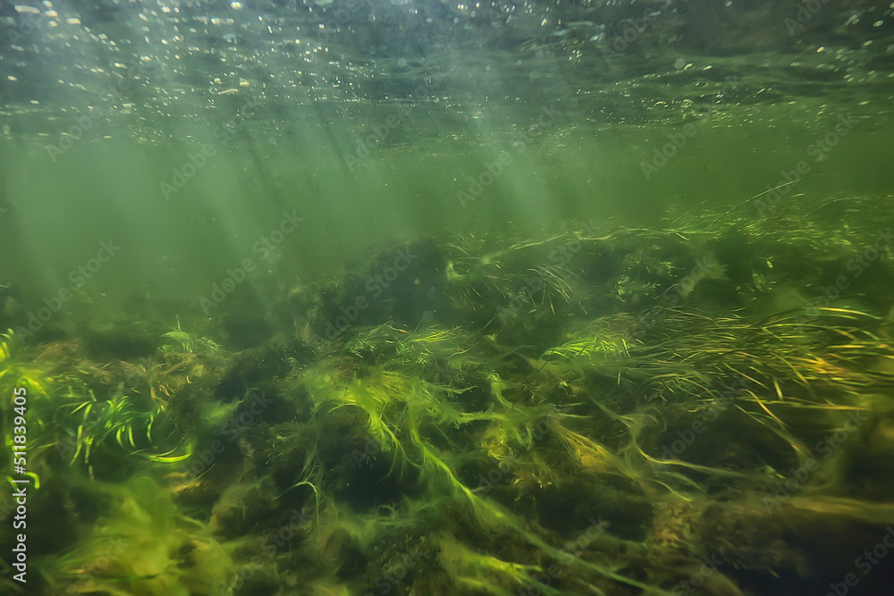 sun rays under water landscape, seascape fresh water river diving sun rays under water landscape, seascape fresh water river diving