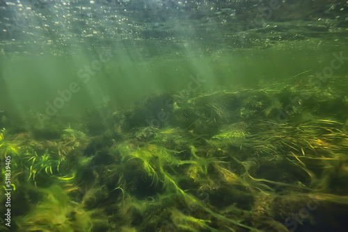 sun rays under water landscape  seascape fresh water river diving