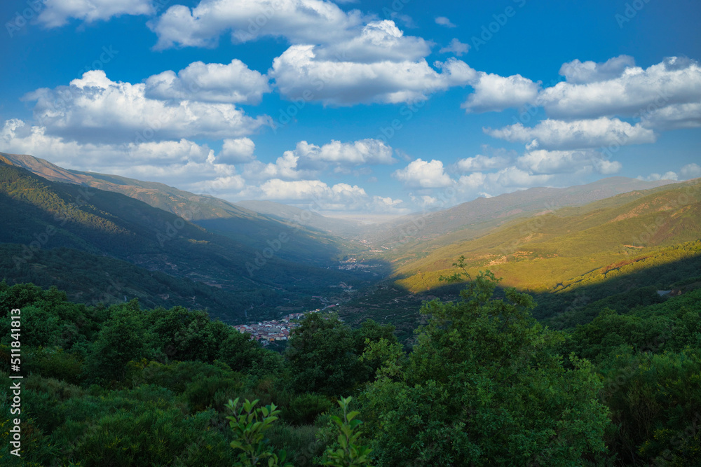 JERTE VALLEY, WONDERFUL IN SPRING, PICKED FROM THE FAMOUS JERTE CHERRY