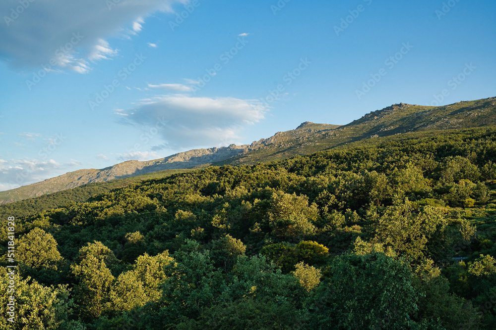 JERTE VALLEY, WONDERFUL IN SPRING, PICKED FROM THE FAMOUS JERTE CHERRY