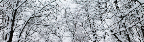 Winter landscape, Christmas and New Year. Tree branches under fluffy soft snow