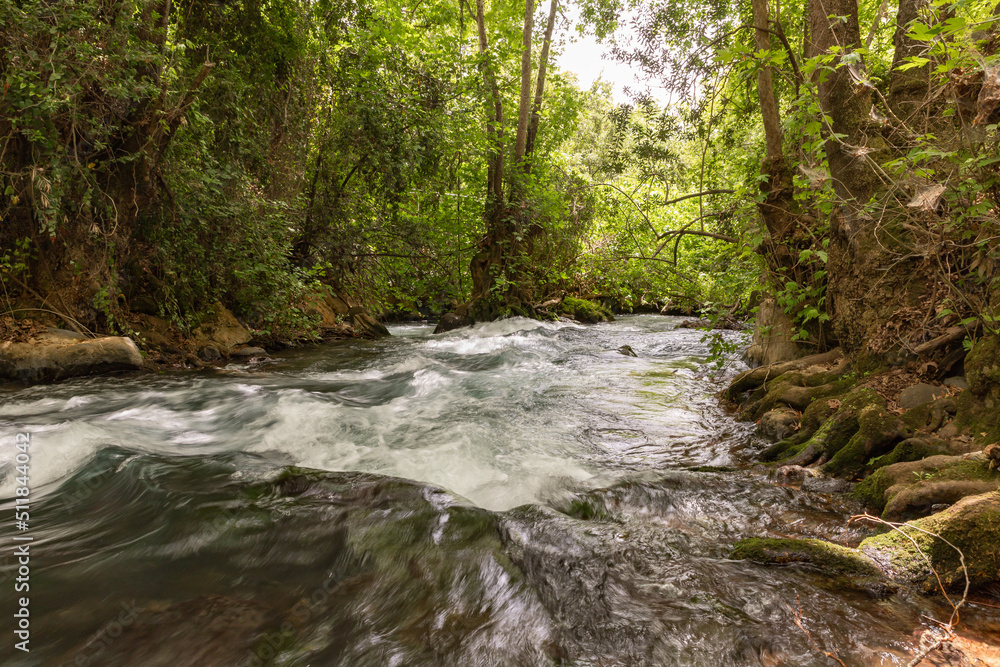 Fast  flowing Hermon stream in the area of the national park in northern Israel