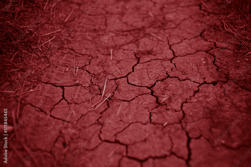 Fototapeta premium Earth in cracks, rural road close-up, red tone