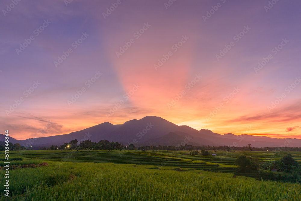 the view of the green rice fields in the morning with the beautiful mountain range
