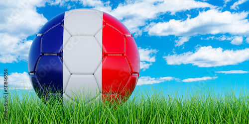Soccer ball with French flag on the green grass against blue sky  3D rendering
