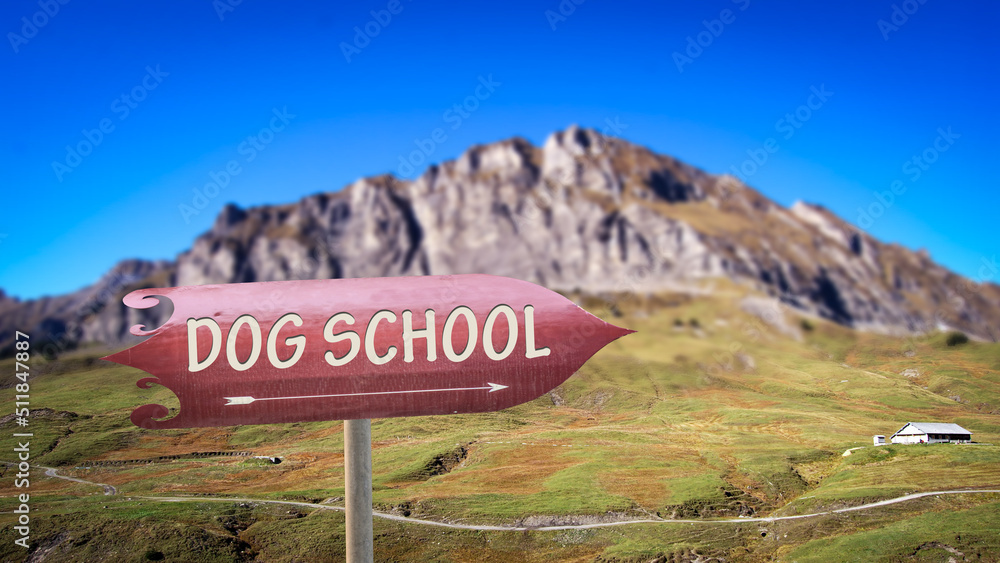 Street Sign to Dog School