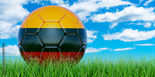 Soccer ball with Lithuanian flag on the green grass against blue sky  3D rendering