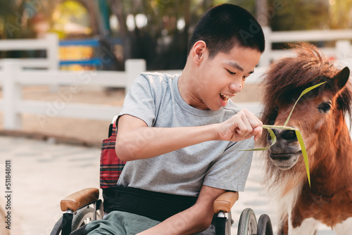 Teenager boy with a disability feeding pets with smile and happy face, Training of muscles through picking, Animals therapy for child with special needs. Rehabilitation and Health Day concept...