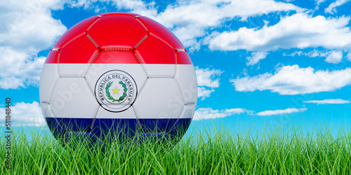 Soccer ball with Paraguayan flag on the green grass against blue sky  3D rendering