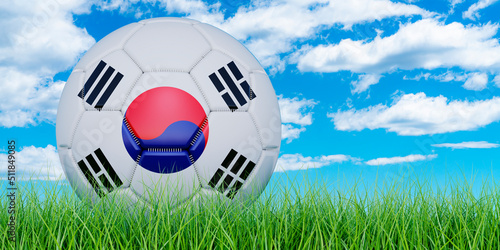 Soccer ball with South Korean flag on the green grass against blue sky  3D rendering