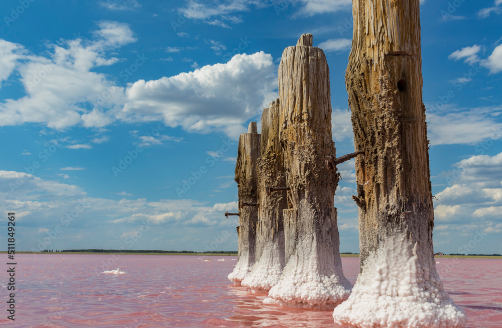 wooden poles in salt water covered with salt wooden poles in salt water covered with salt