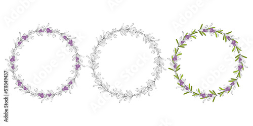 Wreath hand drawing round frame Rosemary sprigs. Set of floral wreaths with leaves, branches. Decorative elements for design. Dudling outline silhouette. Vector illustration
