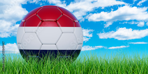 Soccer ball with the Netherlands flag on the green grass against blue sky  3D rendering