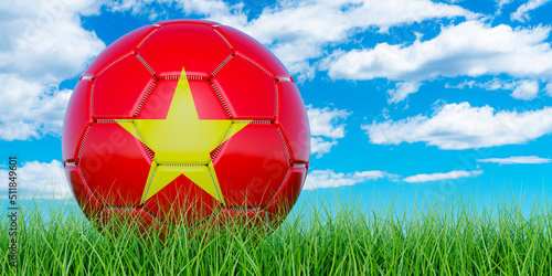 Soccer ball with Vietnamese flag on the green grass against blue sky  3D rendering