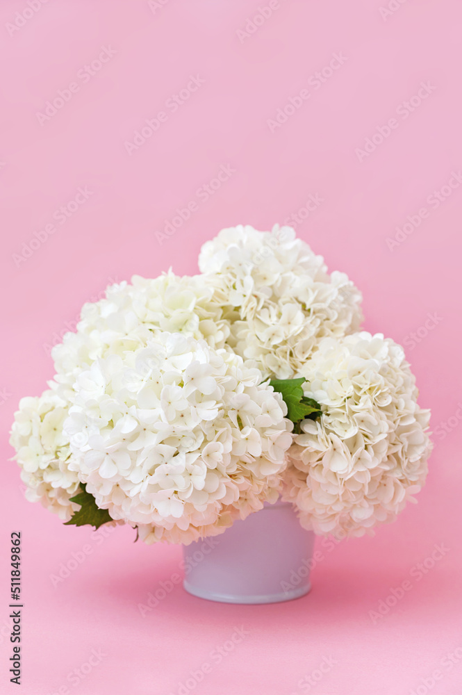 White flowers in a vase on a pink background. vertical photo