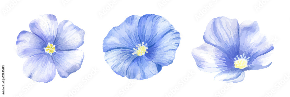 Blue flax flowers. Vector set of images, stickers and three watercolor flax flowers. For labels, tattoos and other design projects.