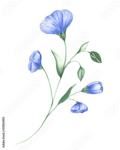 Watercolor branch with flowers and flax buds. wild blue flowers. A blue watercolor flower, a branch with wildflowers.