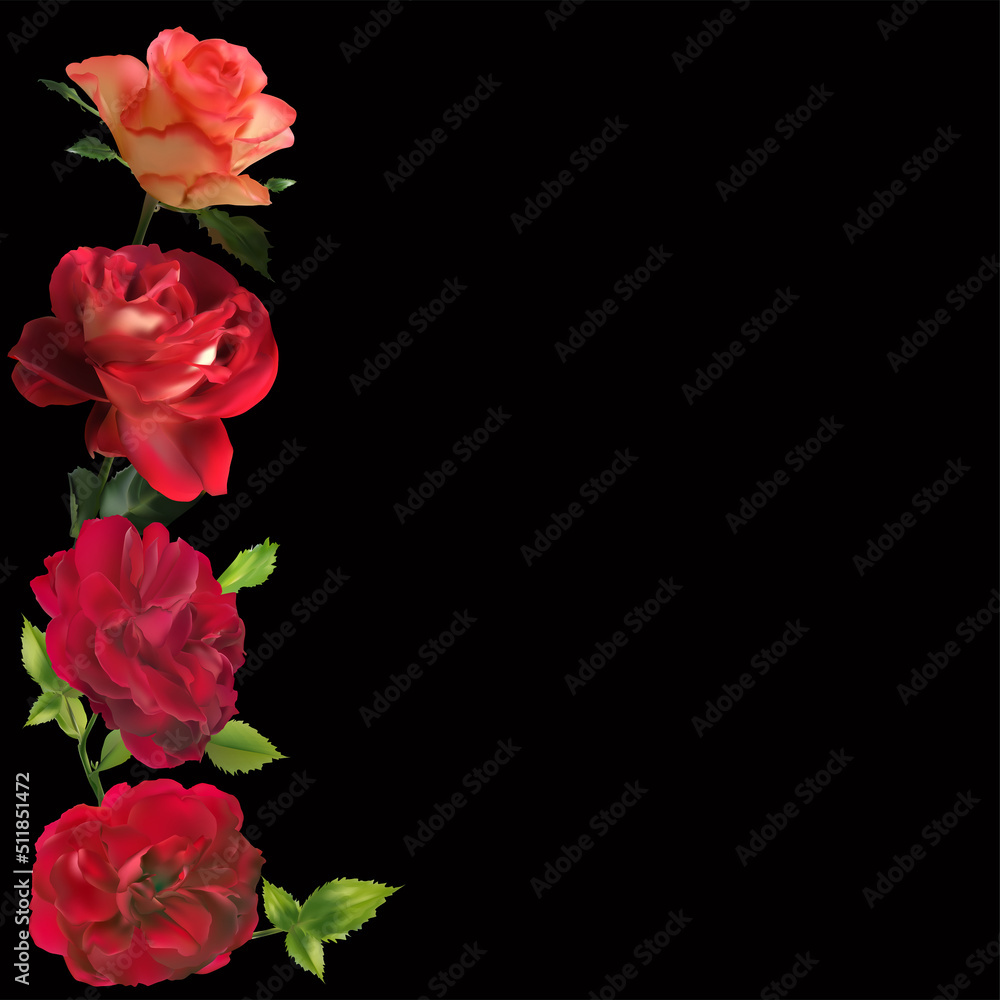 four rose flowers line isolated on black