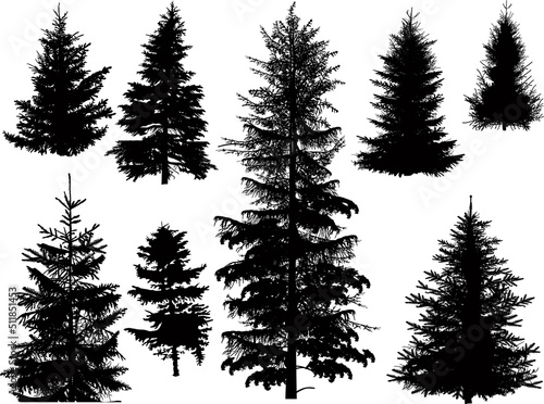 eight fir tree silhouettes isolated on white