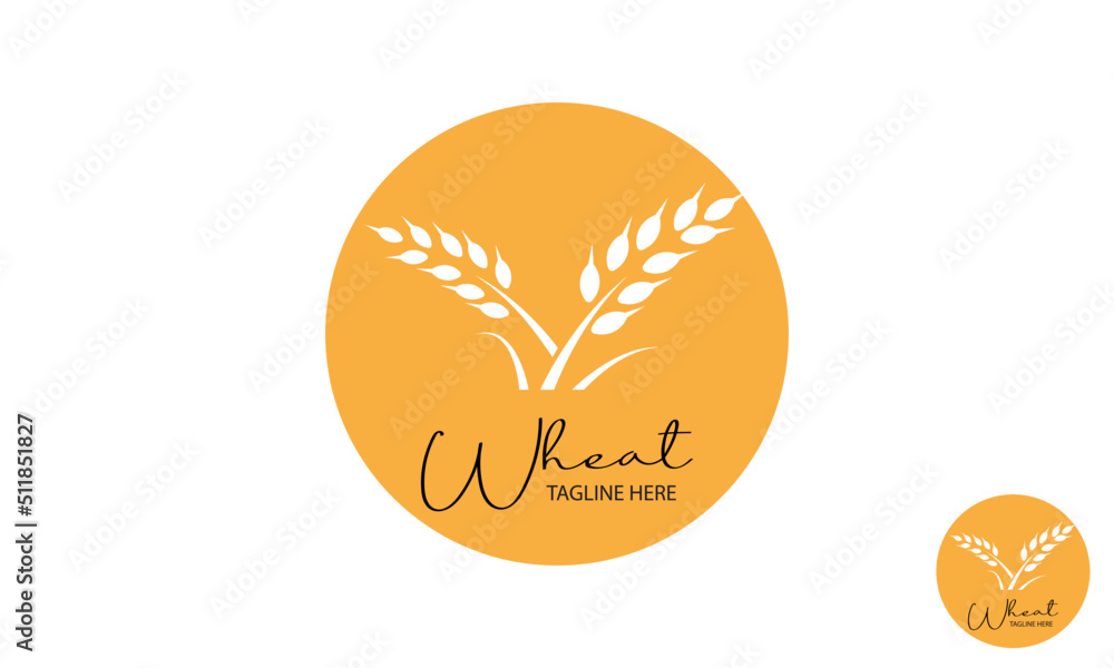 Wheat Logo Design Template With badge. simple wheat grain vector icon logo design. lines art wheat grass logo vector symbol icon design.