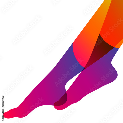Long and slim female legs in socks on white background, vector illustration.