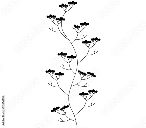 Vector botanical illustration. Black and white, Blooming. Spring Flowers and twig