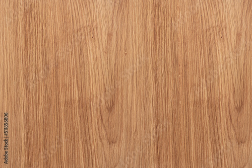 oak texture background for copy space  top view