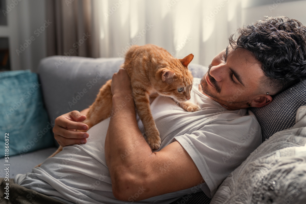 close up. young man lying on a sofa, hugs a brown tabby cat close up. young man lying on a sofa, hugs a brown tabby cat