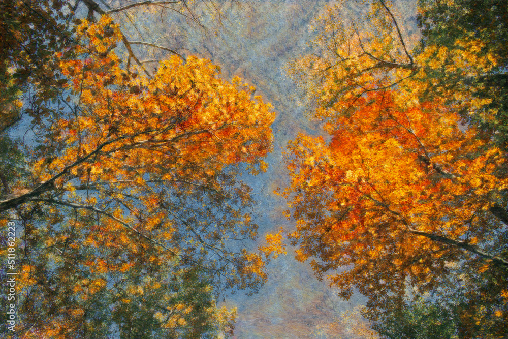 Impressionist painting of autumn foliage in the tree canopy. Impressionist painting of autumn foliage in the tree canopy.
