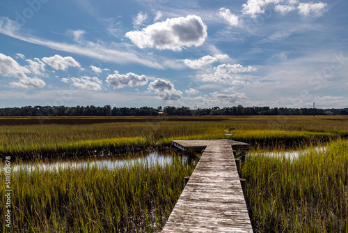 Fototapeta Naklejka Na Ścianę i Meble -  Lowcountry Life