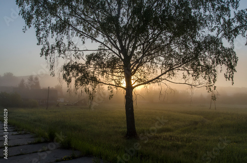 Fototapeta Naklejka Na Ścianę i Meble -  Wschód słońca - Bieszczady 