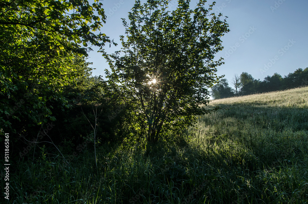 Obraz premium Bieszczady wschód słońca 