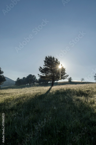 Fototapeta Naklejka Na Ścianę i Meble -  Bieszczady 
