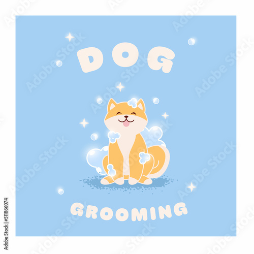 Illustration of a dog. Grooming dogs. Funny kawaii shiba inu.