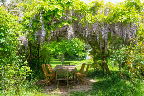 Table with chairs in the gazebo under blooming wisteria