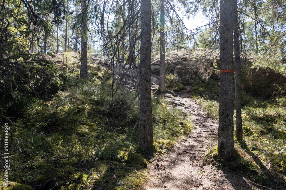 Obraz premium Wandern im der Wildnis des Tiveden Nationalpark in Schweden