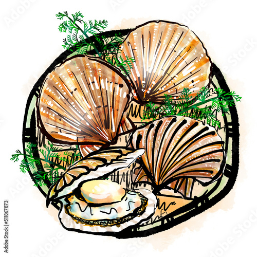 竹ざるに盛った「帆立貝（ほたてがい）」の手書きイラスト（筆書き墨絵風）