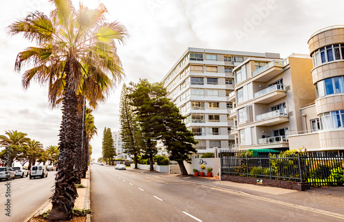 Fototapeta Rows of palm trees on Sea Point beach front avenue