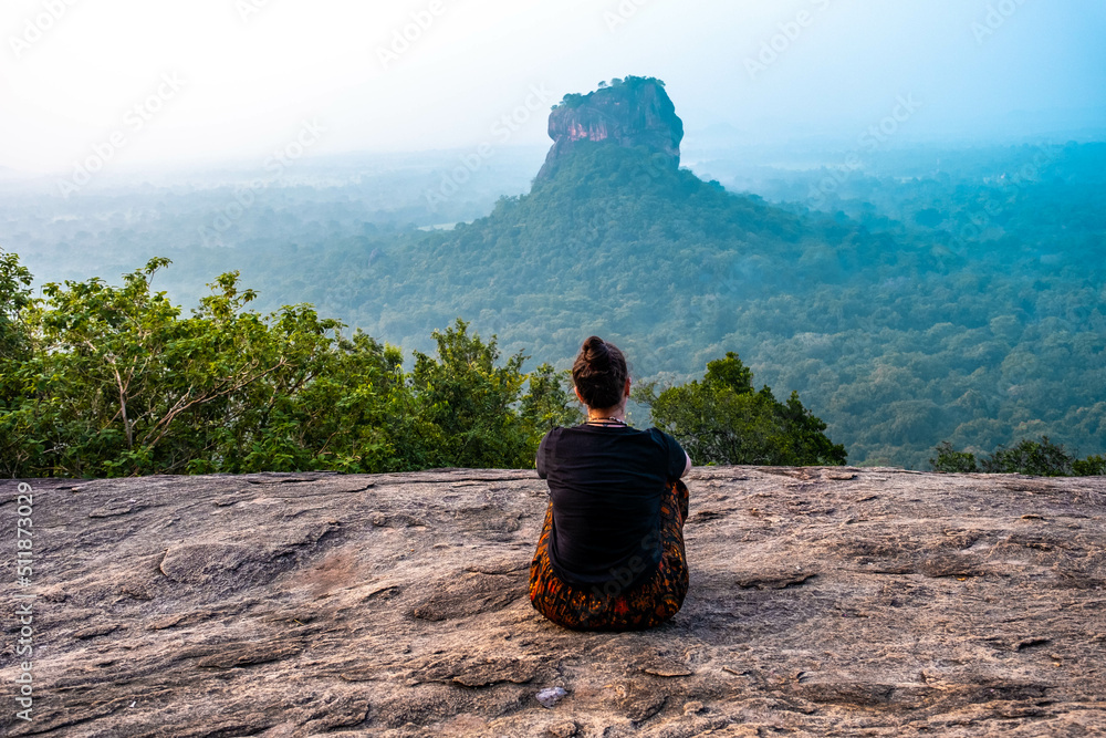 rocher du lion Sigiriya Sri Lanka Lion Rock Stock Photo Adobe Stock