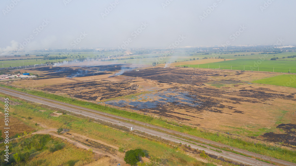 burn rice fields, aerial view from flying drone of Field rice, Forest fires
